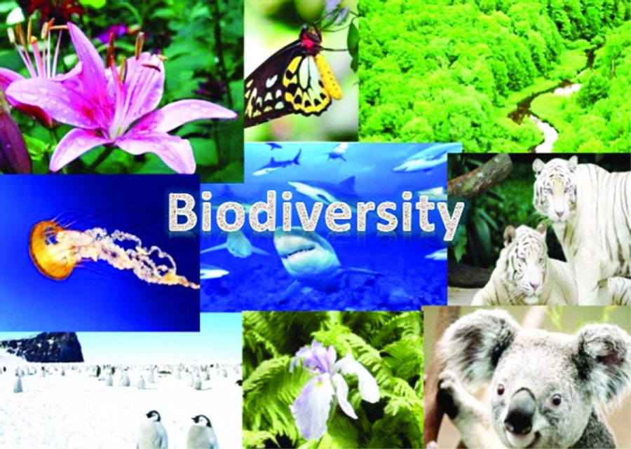 threats-to-biodiversity