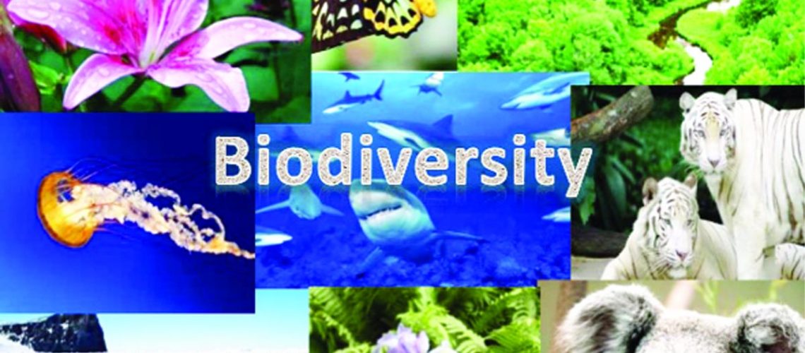 threats-to-biodiversity